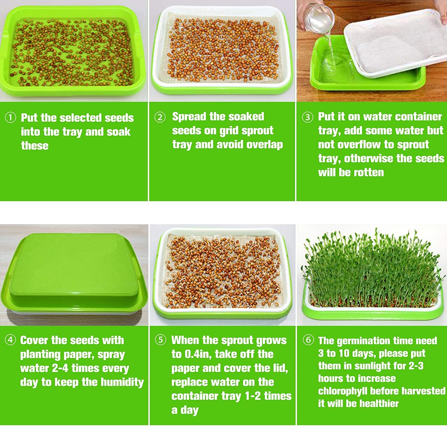 Legigo germinating papers help tiny seeds establish evenly in trays.