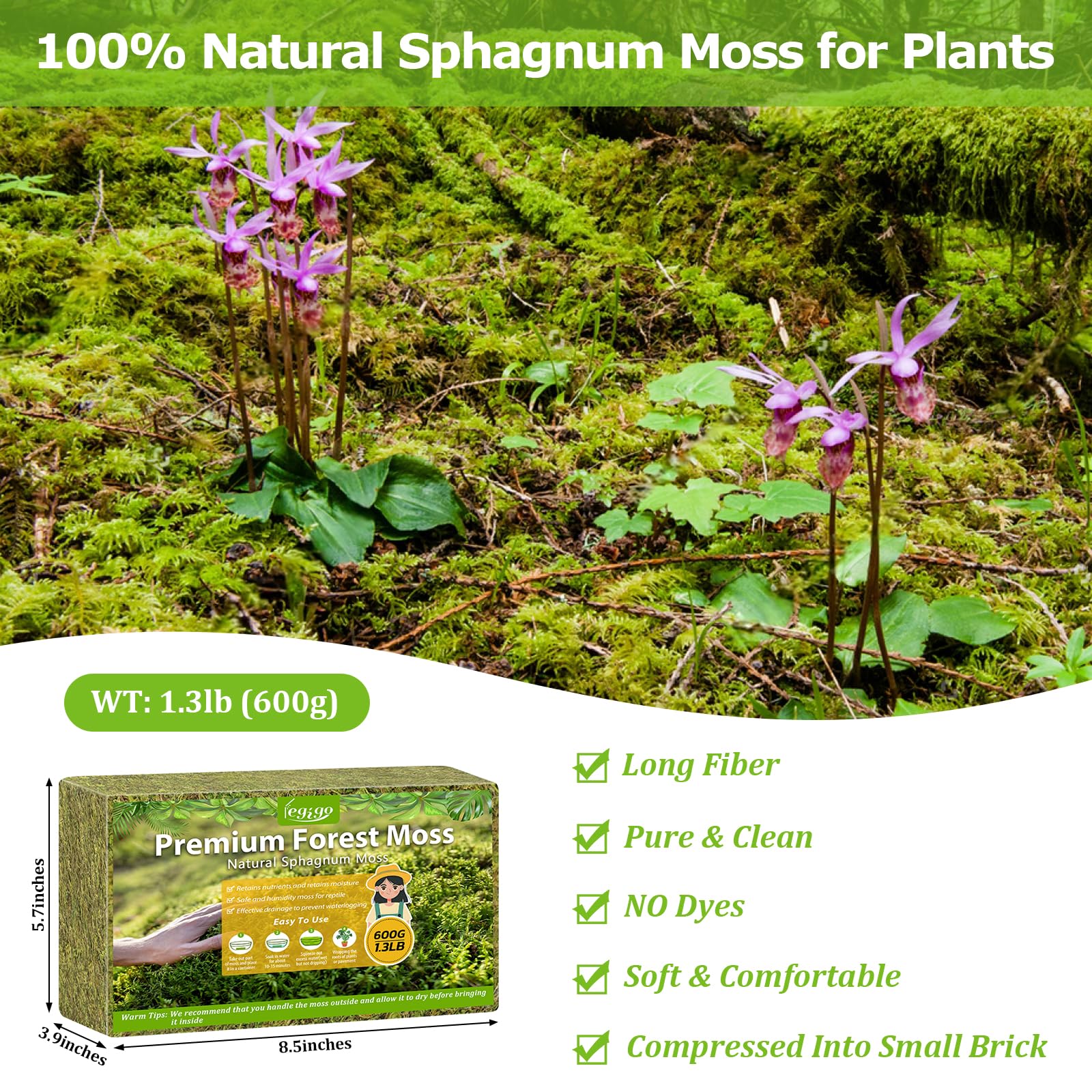 Legigo orchid moss for repotting supports orchid moisture balance