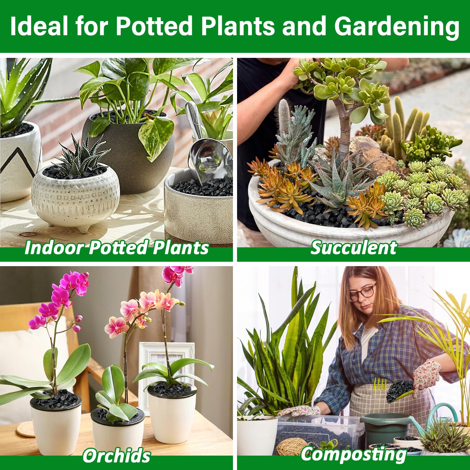 Legigo houseplant soil mix with charcoal enhances drainage and slow-release moisture.
