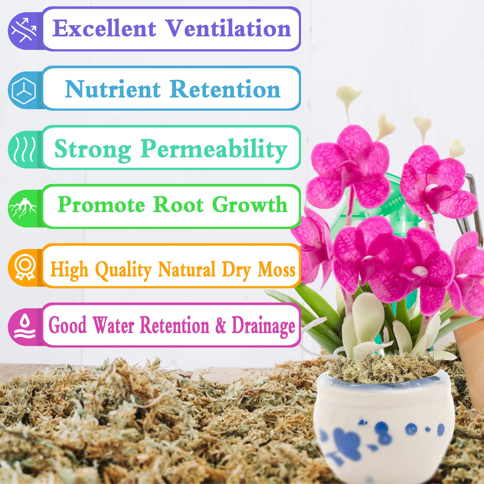 Legigo hydroponic moss promoting root growth in a water-based setup
