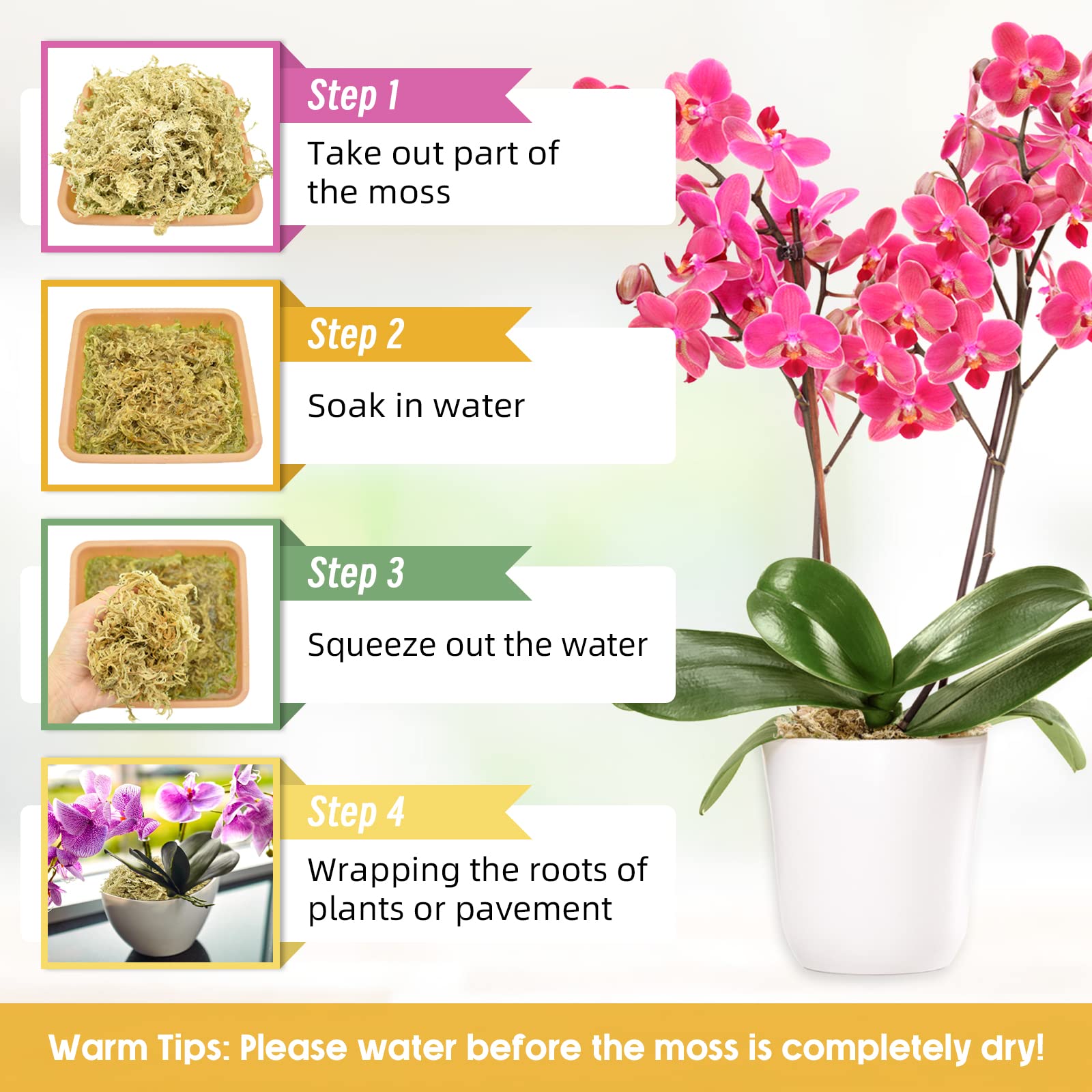 Legigo hydroponic moss supports root growth and water-oxygen balance