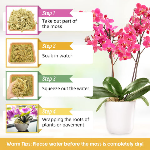 Legigo hydroponic moss supports root growth and water-oxygen balance