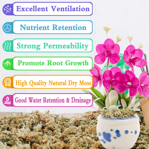 Legigo hydroponic moss promoting root growth in a water-based setup