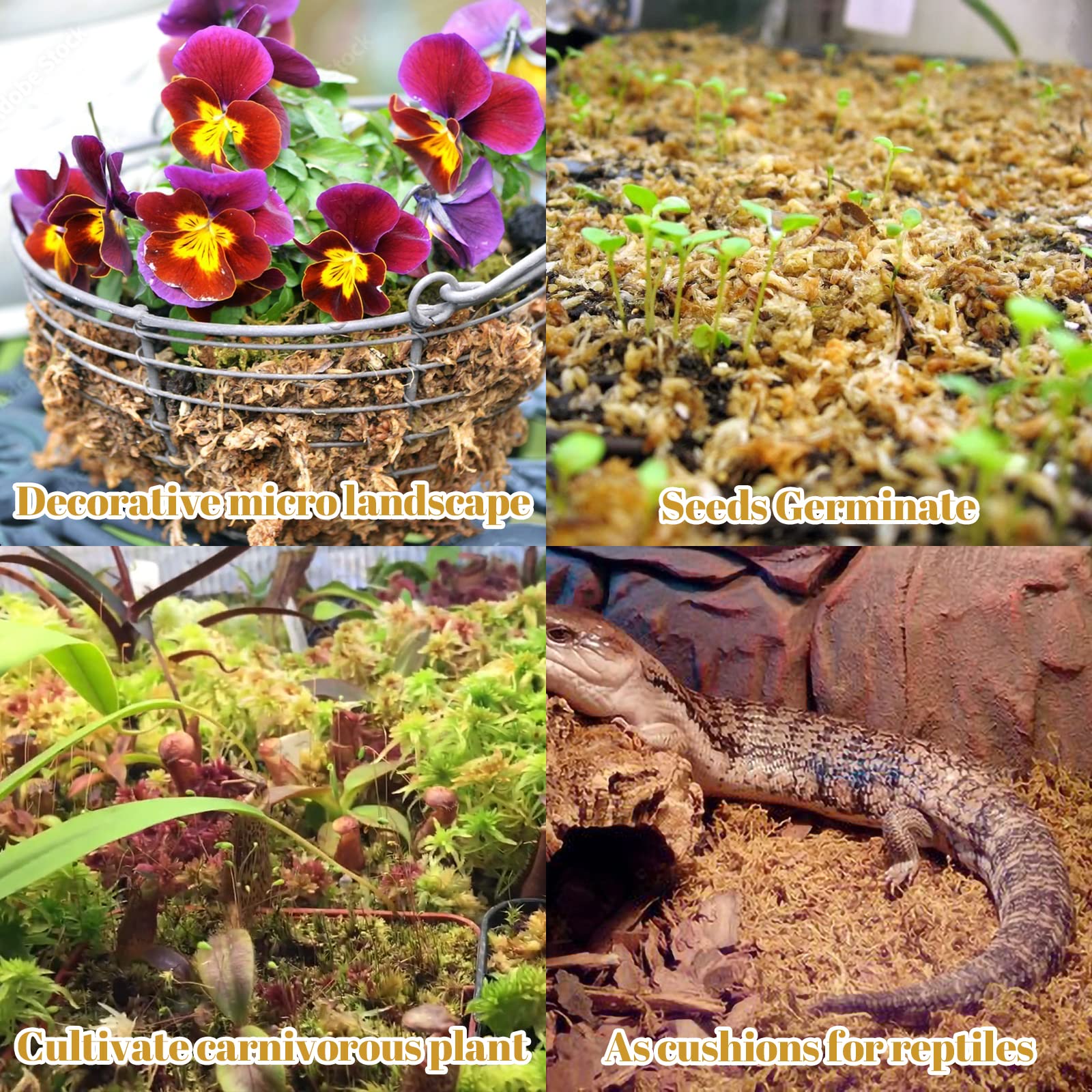 Legigo sphagnum moss in hydroponics to oxygenate roots and improve growth.