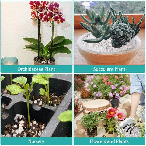 Legigo hydroponics-ready perlite supports soil-less cultivation and decorative uses.