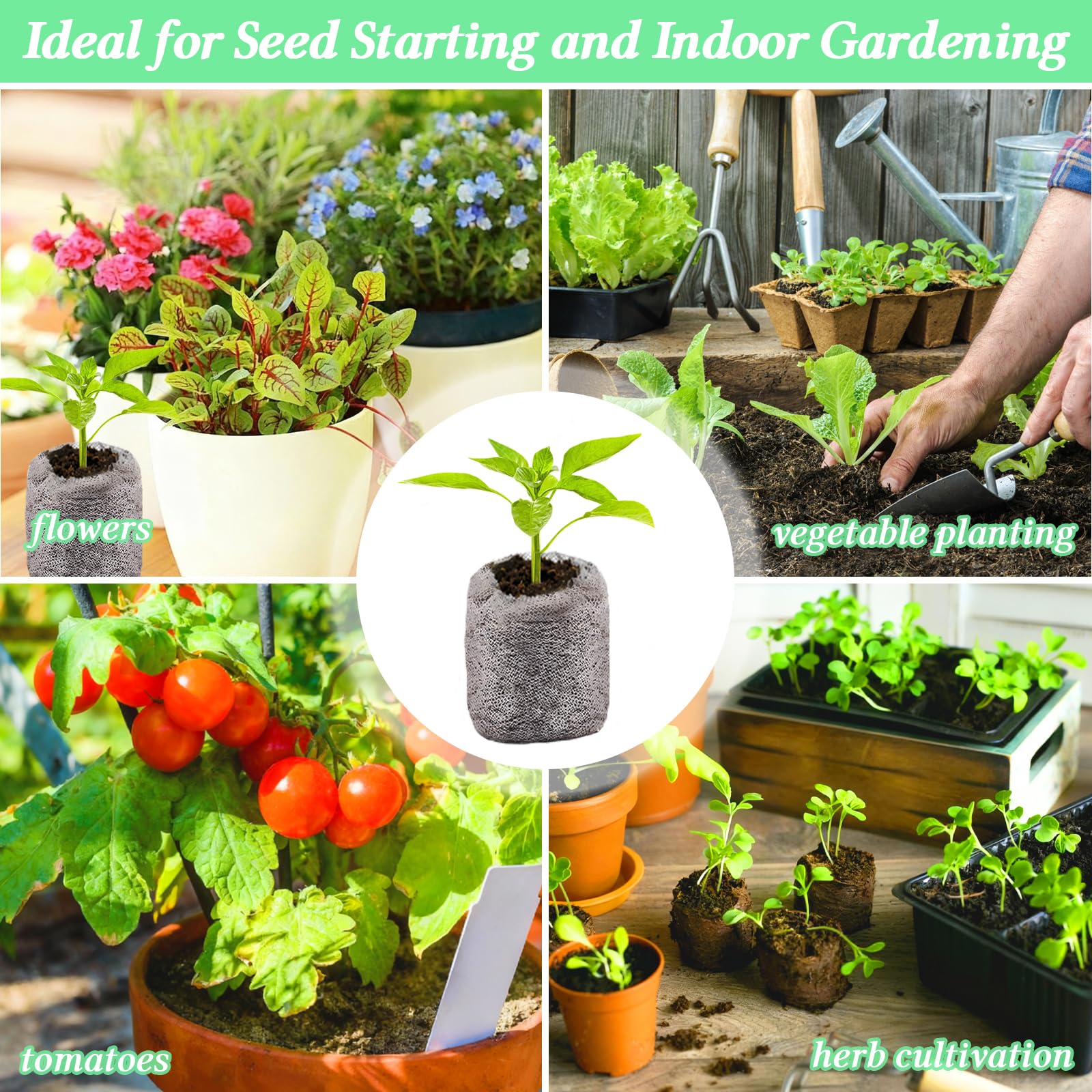 Legigo indoor garden starter for microgreens and herbs in compact spaces