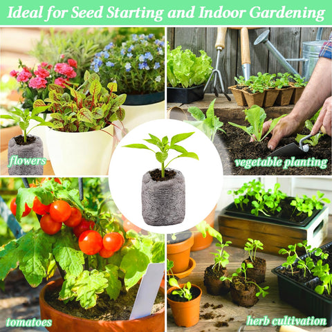 Legigo indoor garden starter for microgreens and herbs in compact spaces