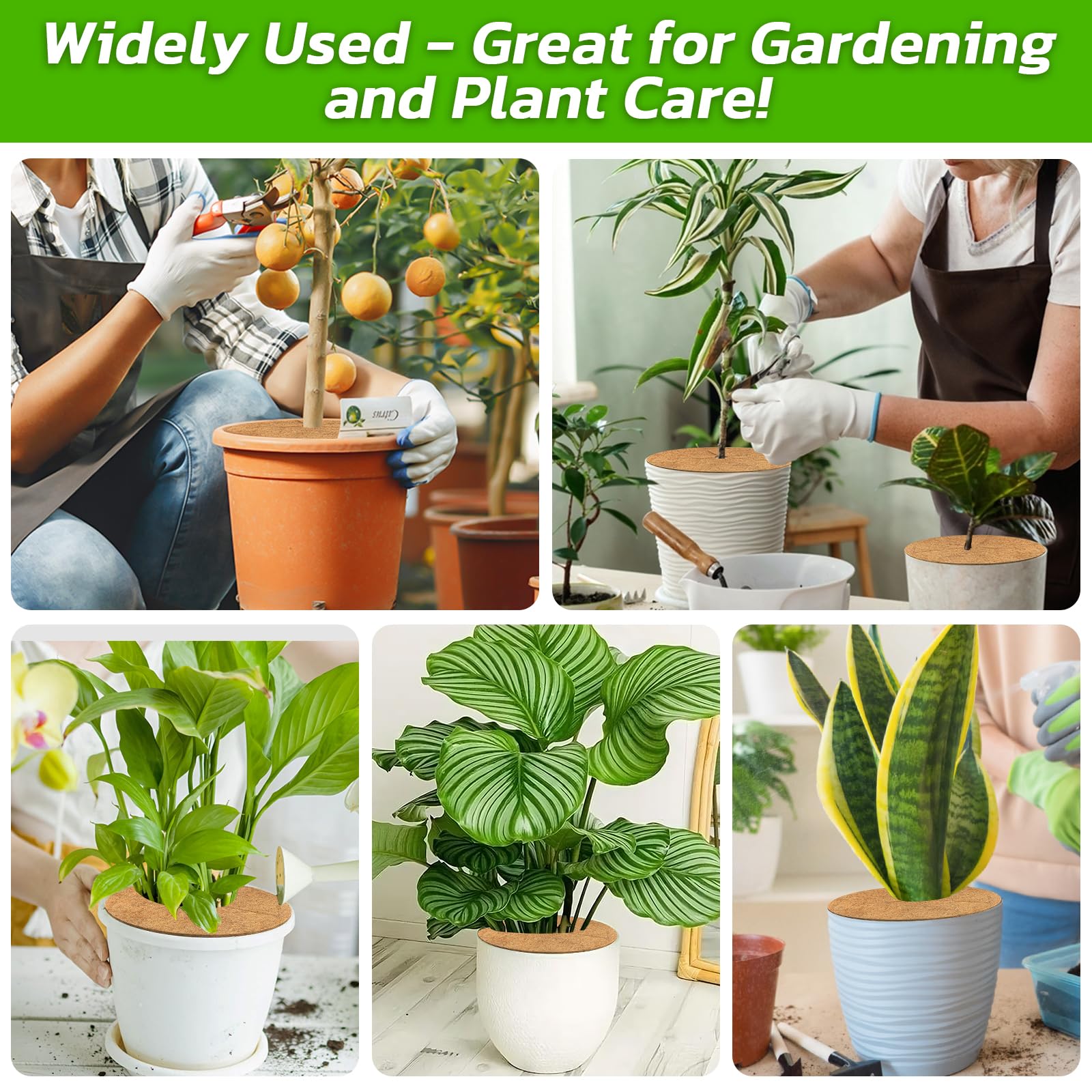 Legigo rings suit indoors and outdoors for neat plant presentation.