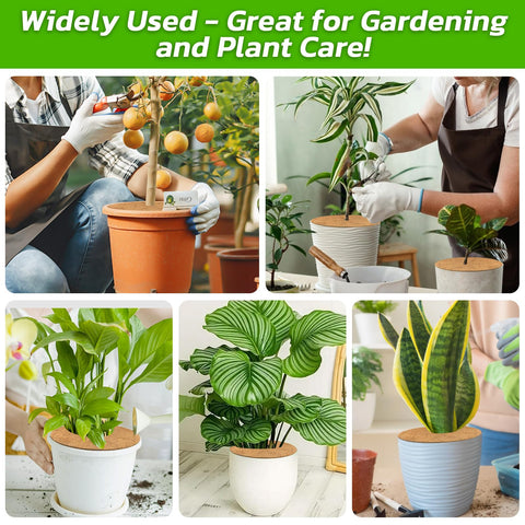 Legigo rings suit indoors and outdoors for neat plant presentation.