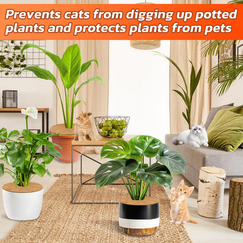 Legigo decorative mulch ring for indoor and outdoor plant pots.
