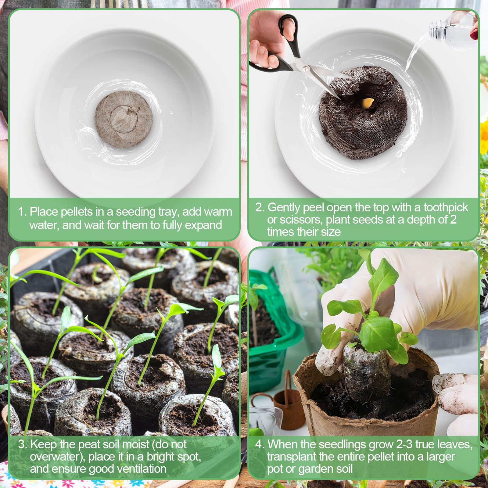 Legigo seed starter pellets for versatile indoor or outdoor planting.