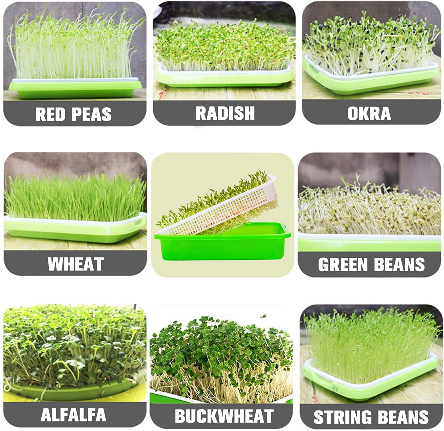 Legigo kitchen balcony sprouting setup fits small living spaces.