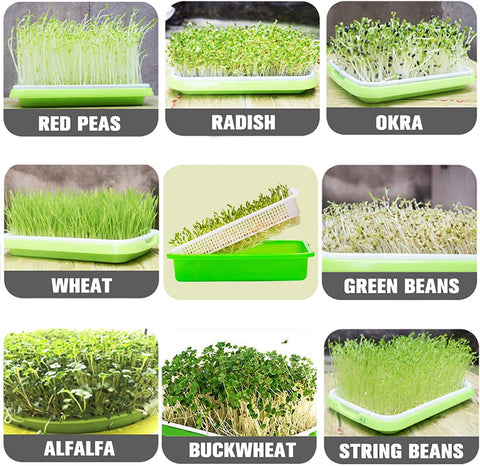 Legigo kitchen balcony sprouting setup fits small living spaces.