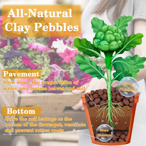 Legigo Leca 7lb terrarium decor showcasing decorative plant base.