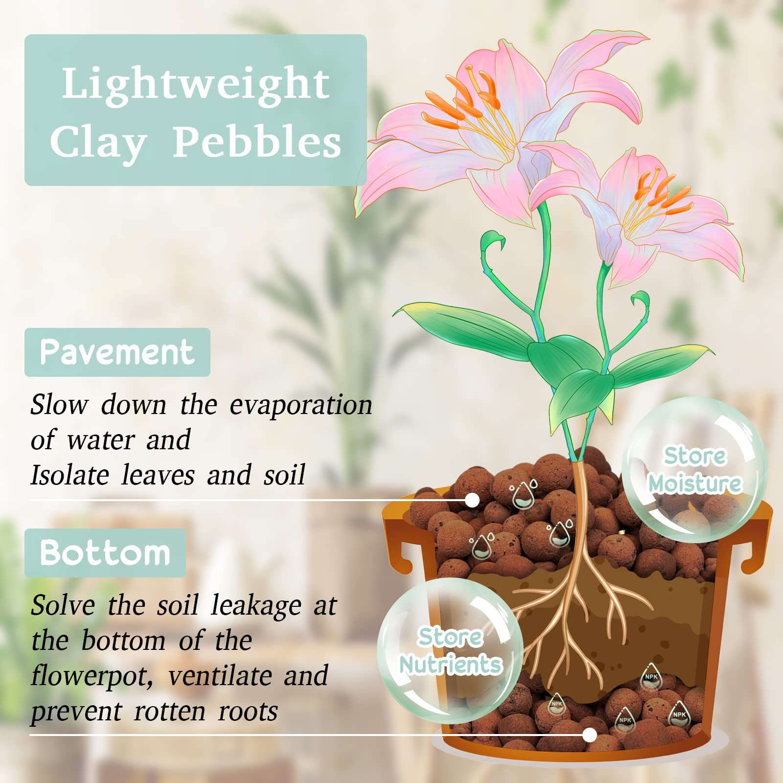 Legigo Leca clay pebbles provide drainage and aeration for roots.