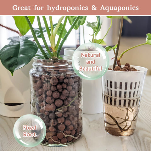 Multipurpose Leca for terrariums and decorative plant setups