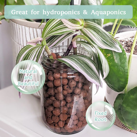 Legigo multipurpose Leca pebbles suitable for hydroponics and terrariums.