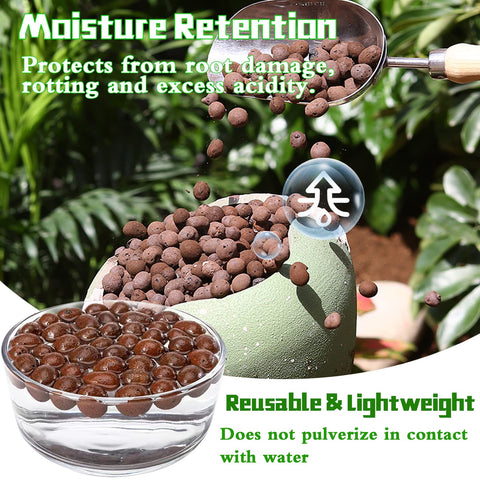 Legigo Leca balls promote root oxygen for healthy growth