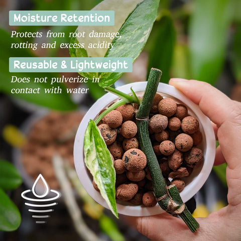 Legigo resealable pouch keeps Leca clean and dry.