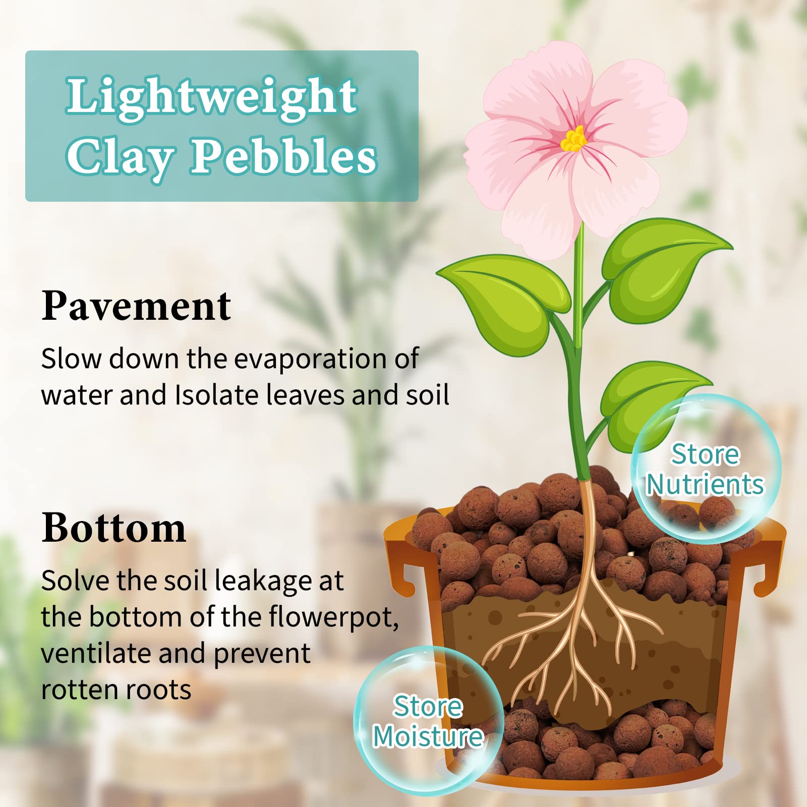 Legigo Leca clay pebbles support hydroponic setups with steady drainage.