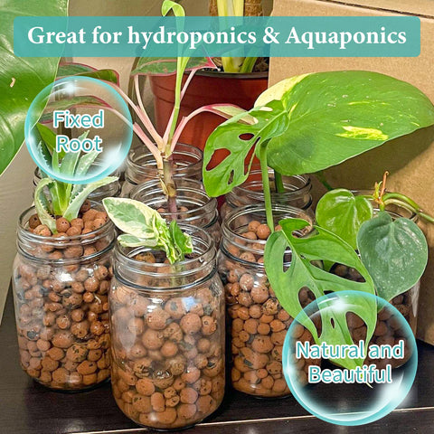 Legigo Leca pebbles store moisture and nutrients for gradual root support.