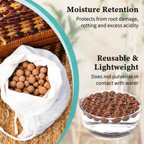 Legigo Leca pebbles used as orchid substrate to balance moisture and airflow.