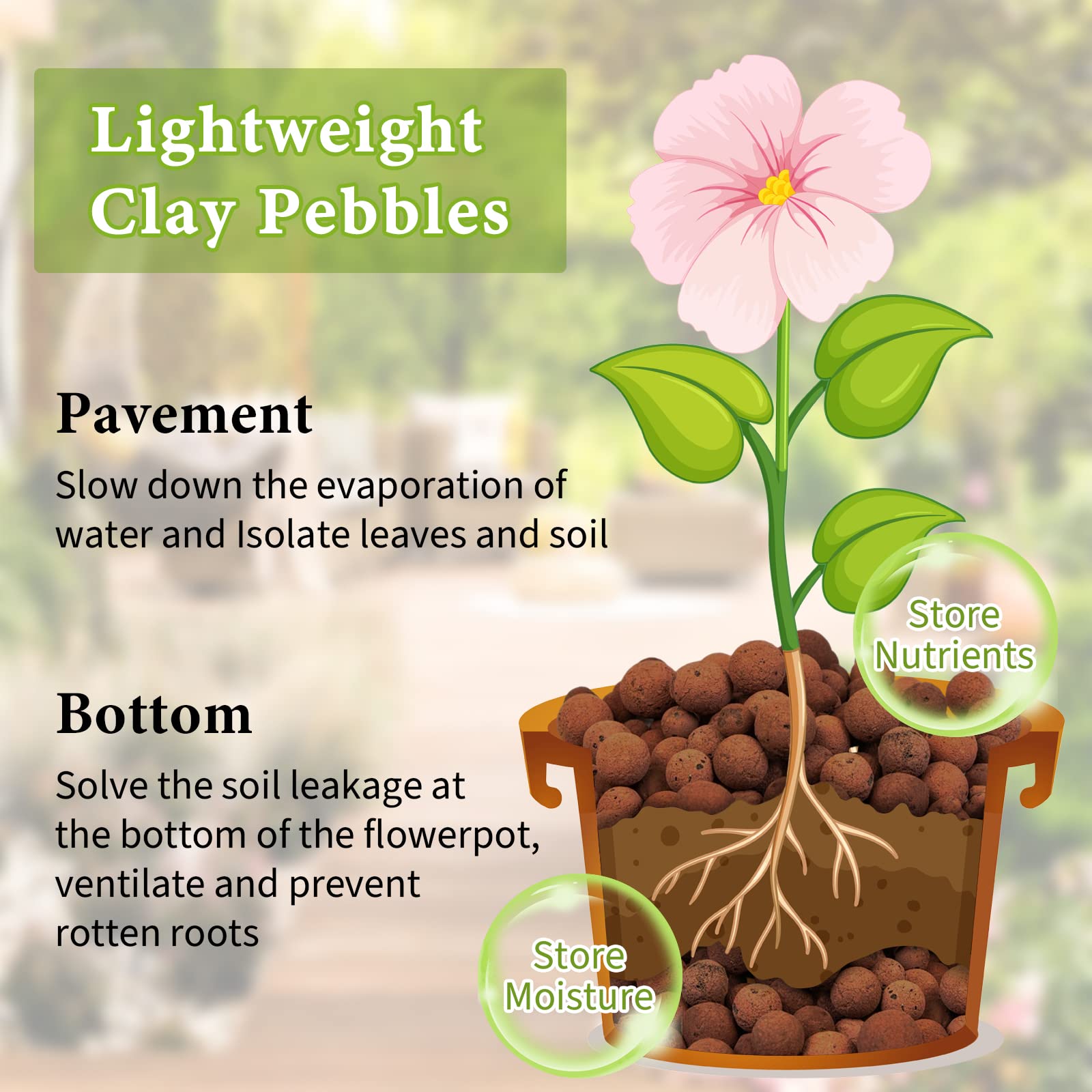 Legigo Leca pebbles store moisture and nutrients for gradual release.
