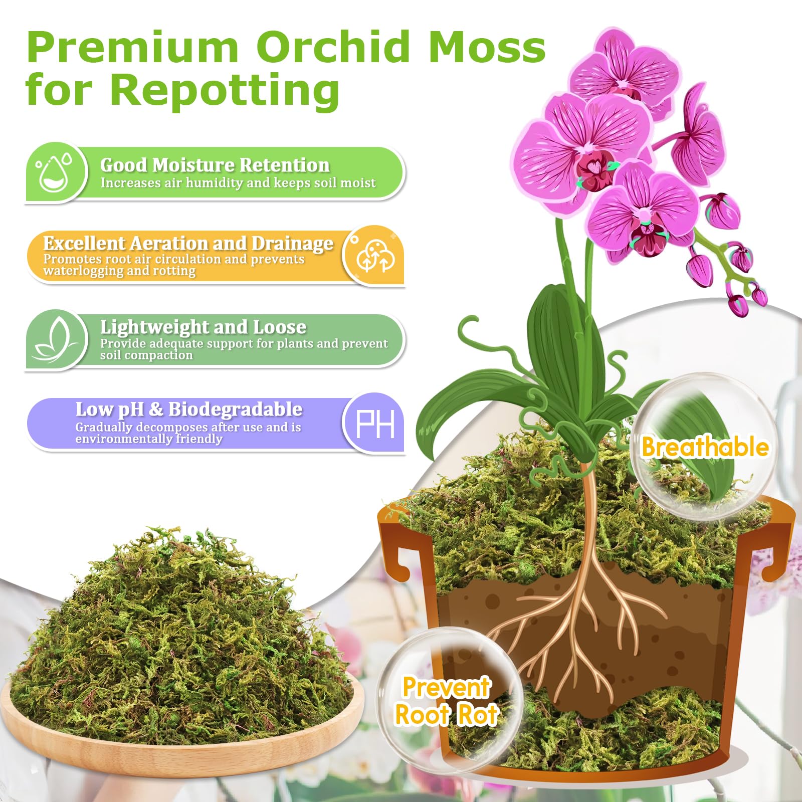 Legigo moss brick soaking to expand before use