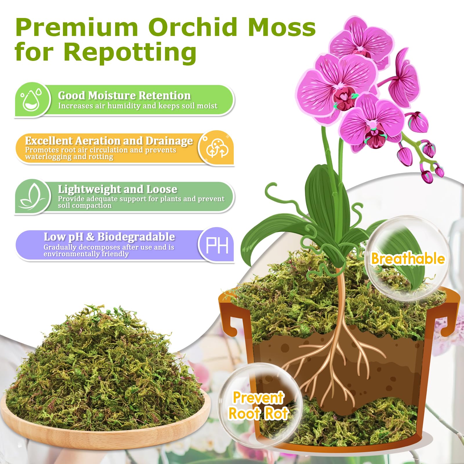Legigo moss humidity retention and aeration support healthy tropical plant roots