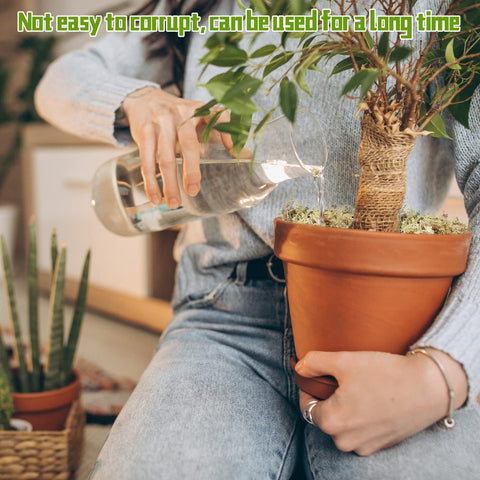 Legigo moss layering decor for succulents enhancing aesthetic and moisture