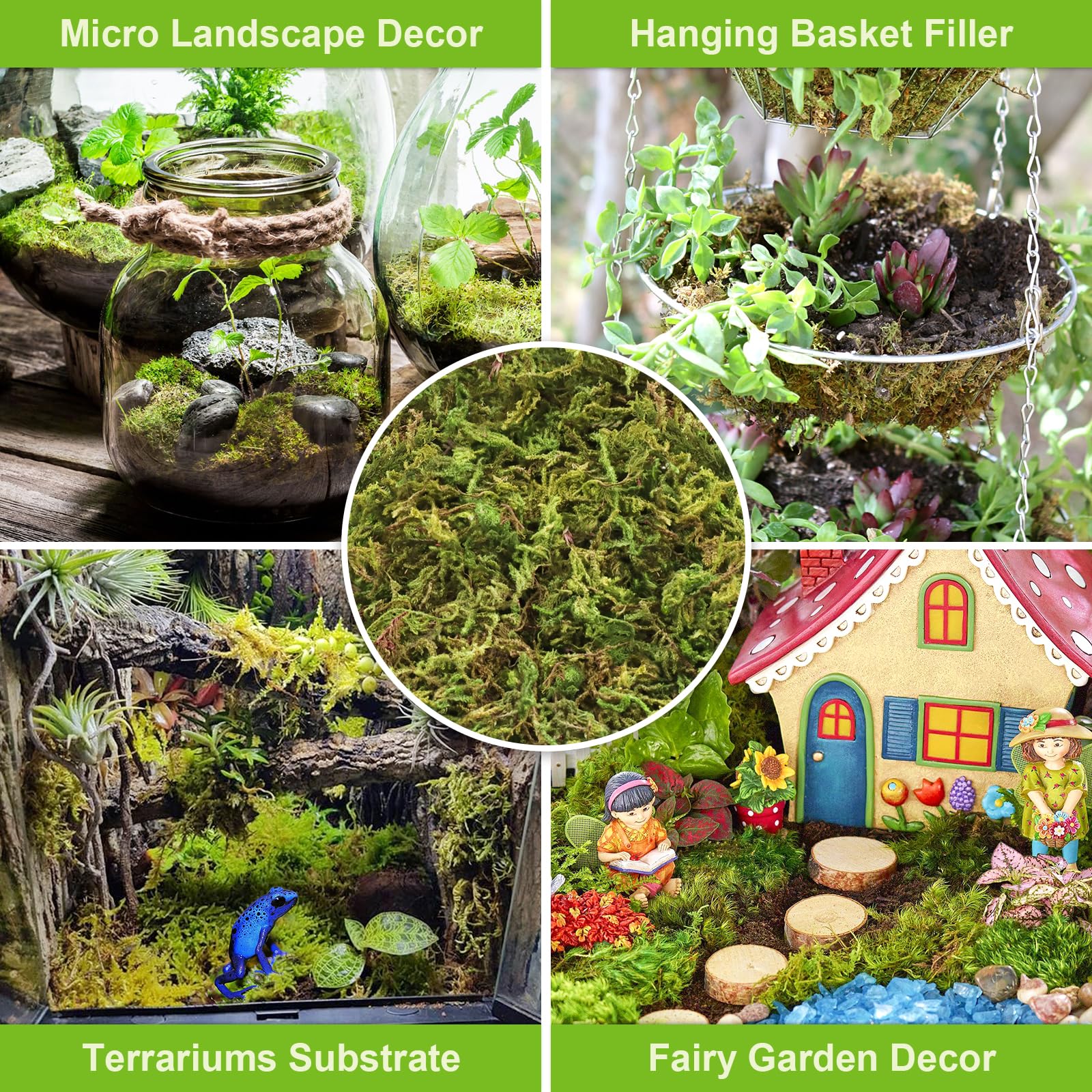 Legigo sphagnum moss as soil conditioner for orchids and ferns