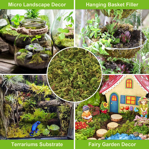 Legigo sphagnum moss as soil conditioner for orchids and ferns