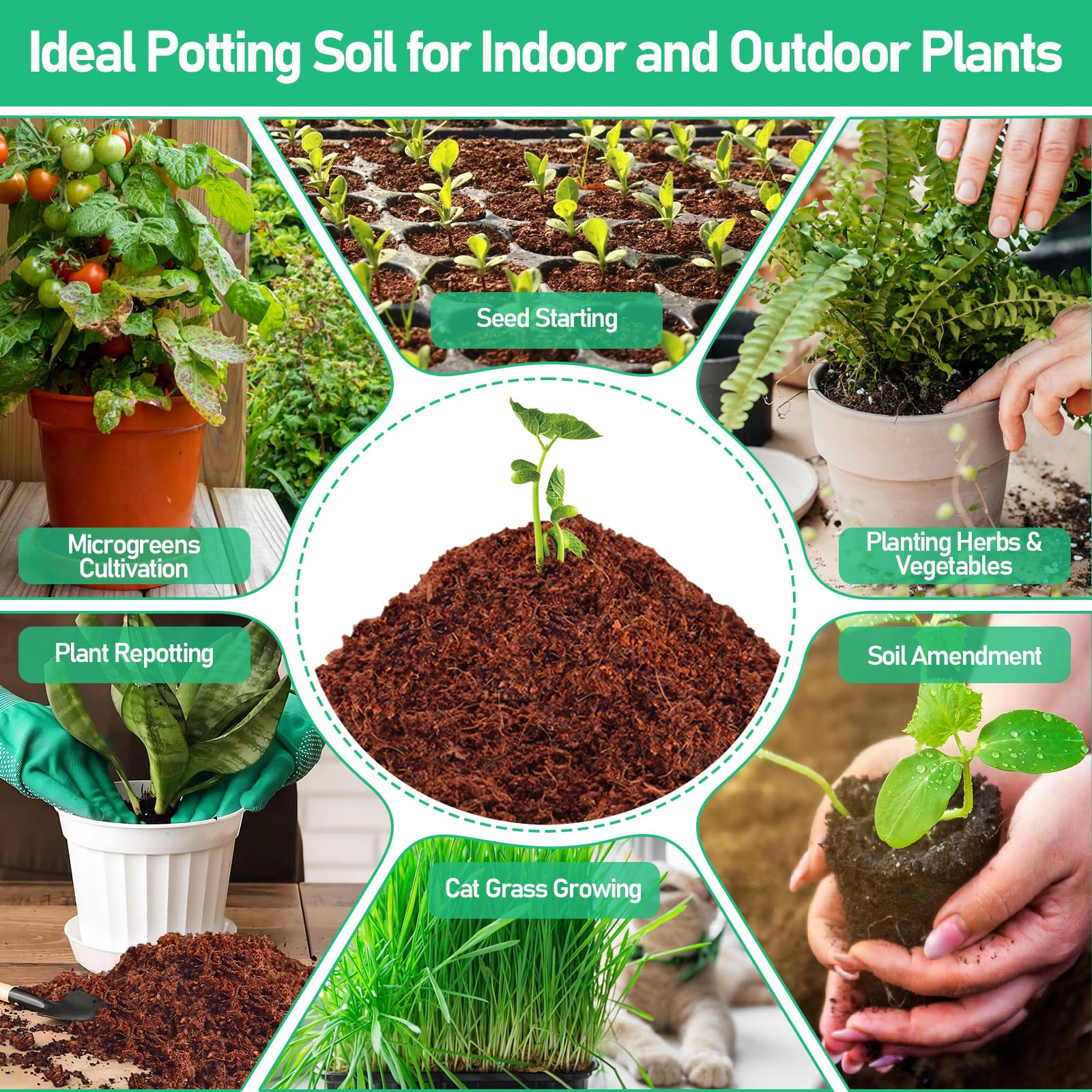 Legigo coco coir pellets suitable for multiple propagation uses