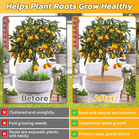 Legigo natural coco coir mulch disc supports moisture retention in pots