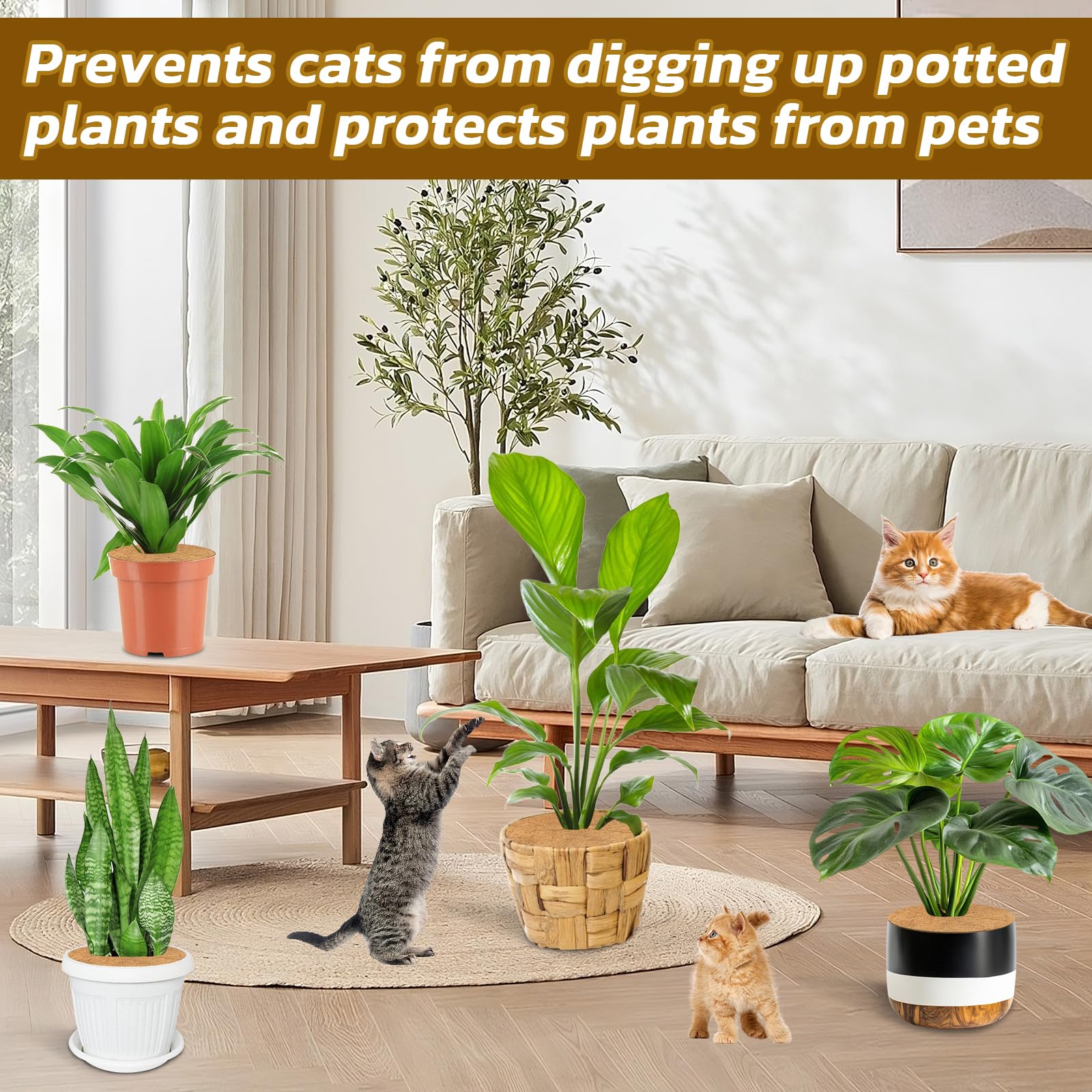 Legigo coconut ring is ideal for nursery, balcony, or office pots.