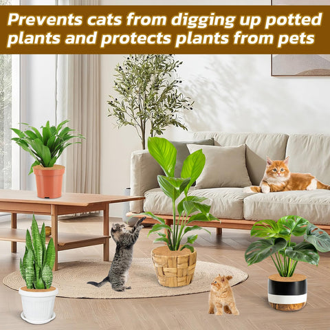 Legigo coconut ring is ideal for nursery, balcony, or office pots.