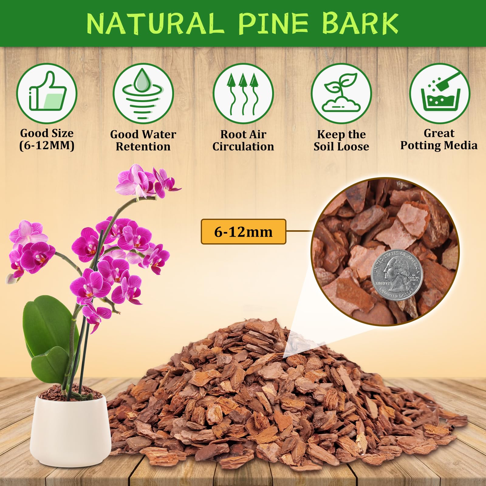 Legigo orchid bark close-up 3/8 inch chips promoting even root growth