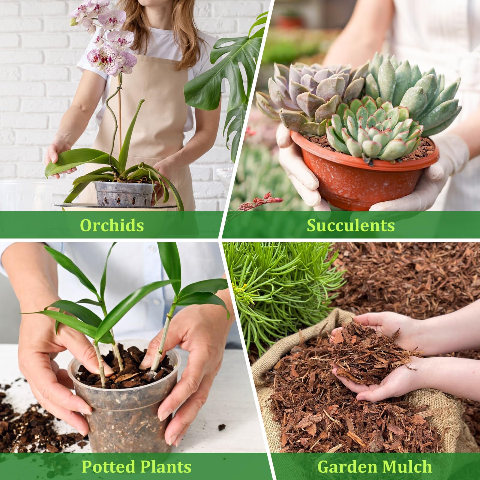 Legigo orchid bark depiction emphasizing drainage and air flow around roots