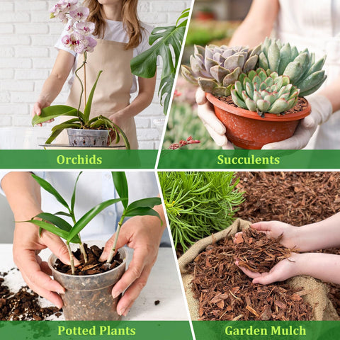 Legigo orchid bark depiction emphasizing drainage and air flow around roots