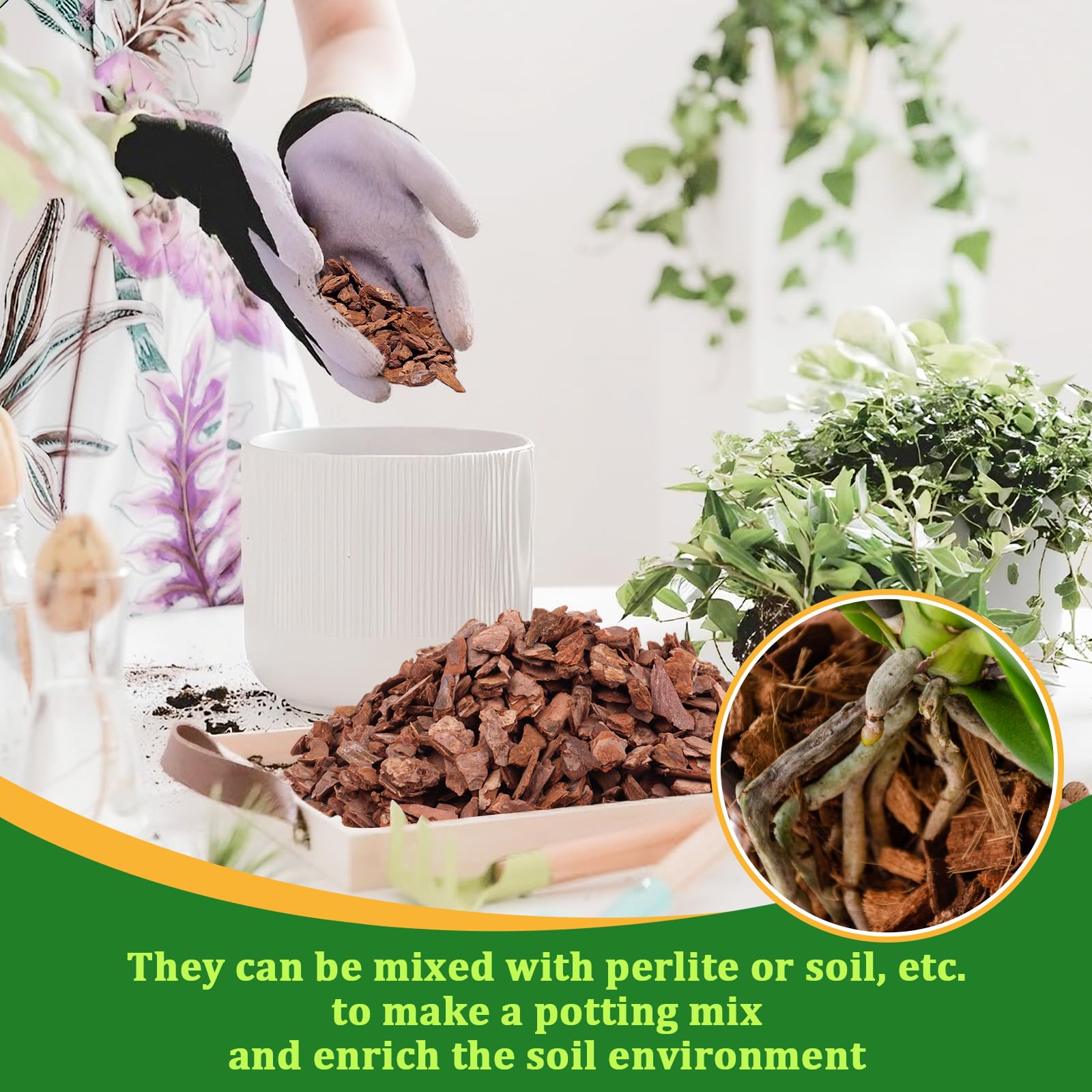 Legigo orchid bark suitable for epiphytic orchids and general houseplants