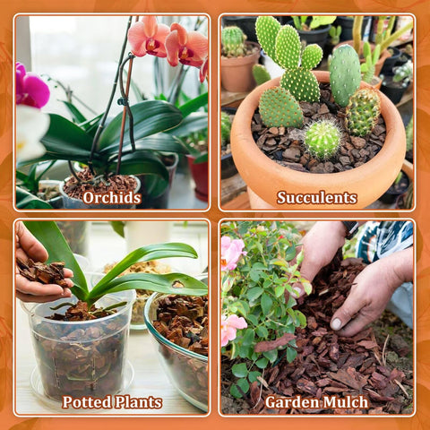 Legigo orchid bark stores well and resists rotting for long-term use