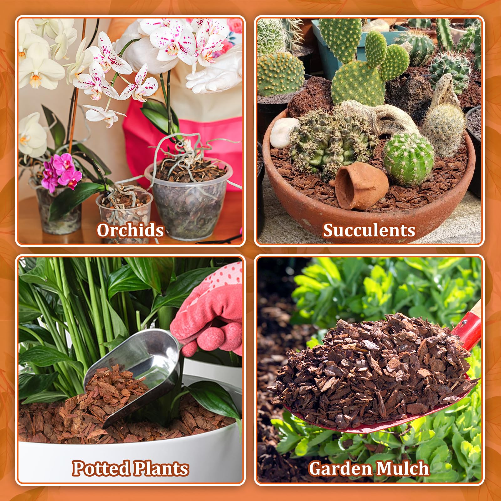 Legigo orchid bark mulch provides attractive soil cover for indoor plant displays