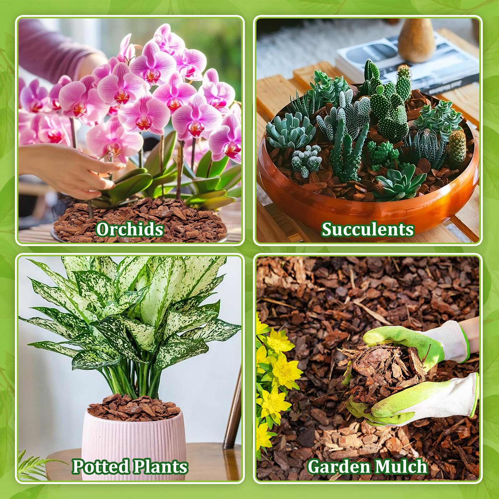 Legigo orchid bark mulch adds visual consistency on soil surface.