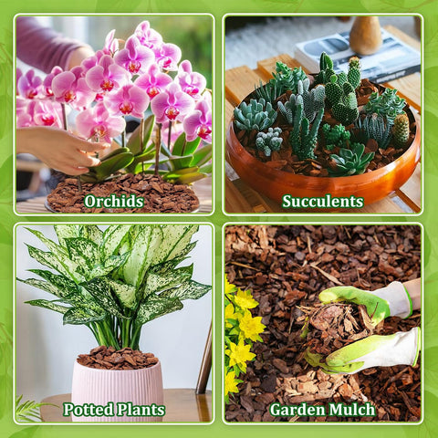 Legigo orchid bark mulch adds visual consistency on soil surface.