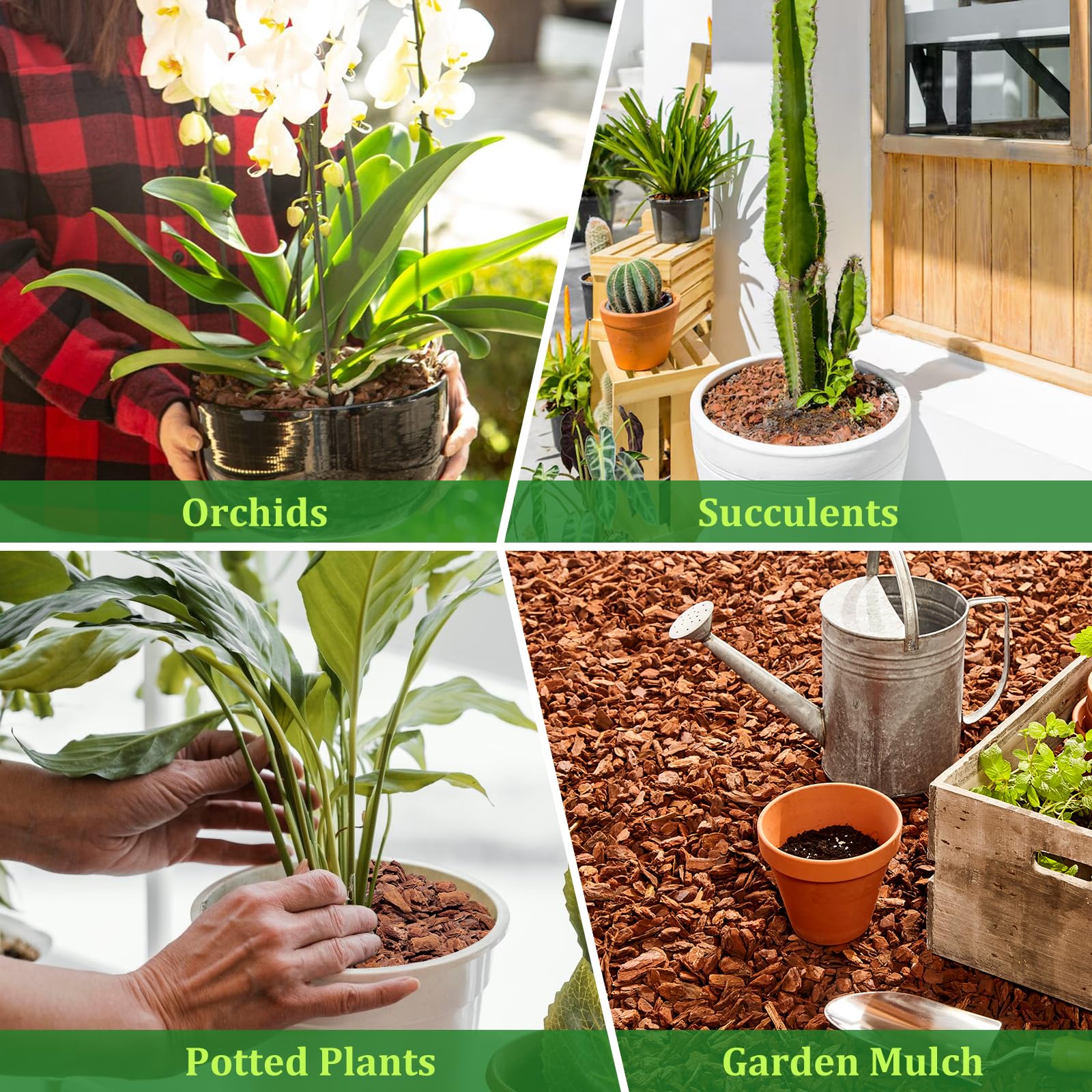 Legigo orchid bark mulch in pot showcasing decorative moisture control