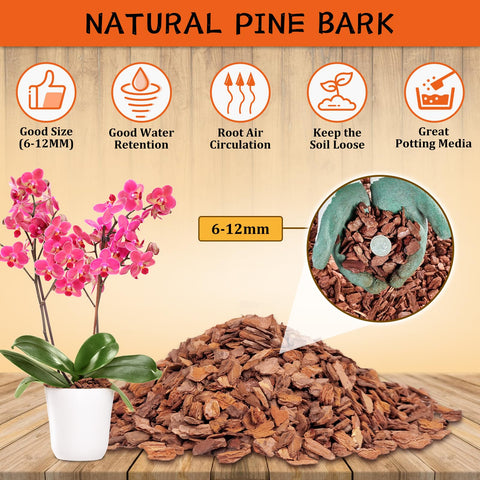 Legigo orchid bark pine chips close-up highlights uniform 3/8-inch pieces for even root growth