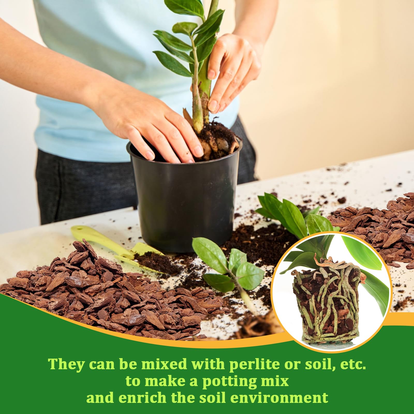 Legigo orchid bark water retention illustration for tropical plants