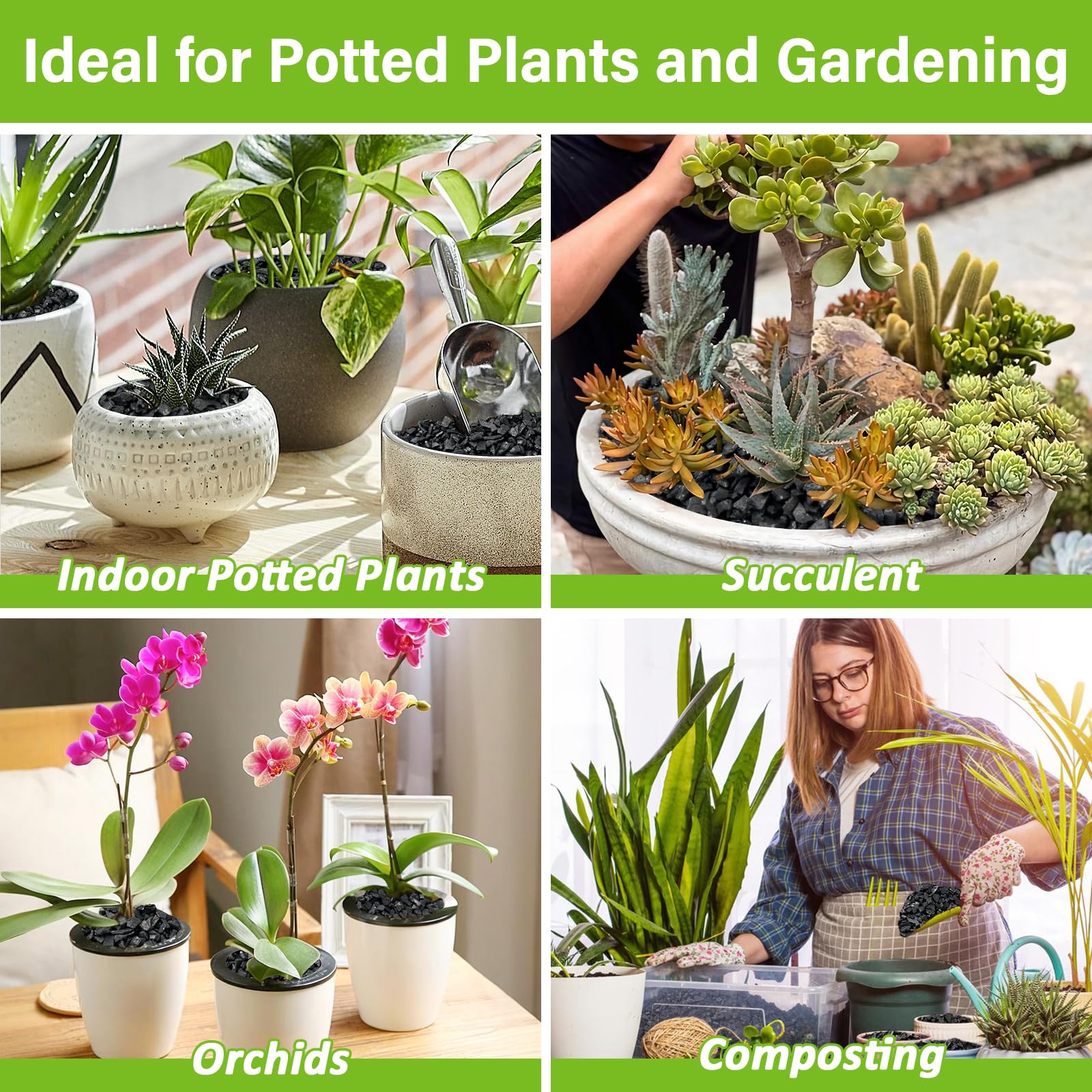 Legigo orchid drainage charcoal aids epiphytic orchids in terrarium setups