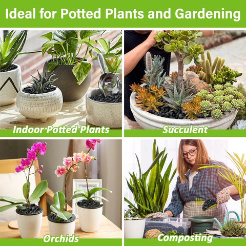 Legigo orchid drainage charcoal aids epiphytic orchids in terrarium setups