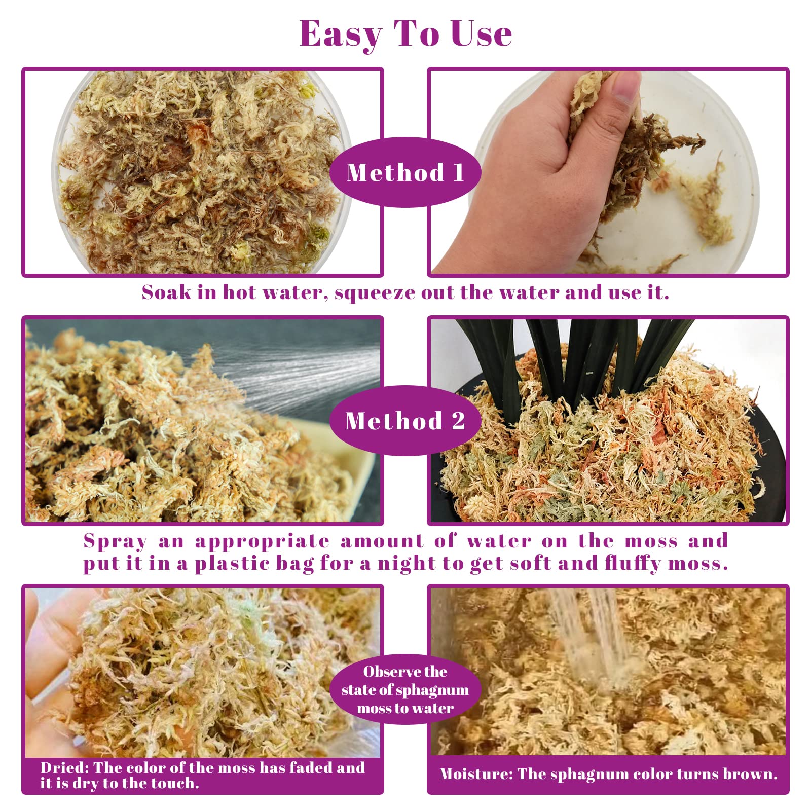 Legigo orchid moss layering provides moisture around orchid roots for better germination.